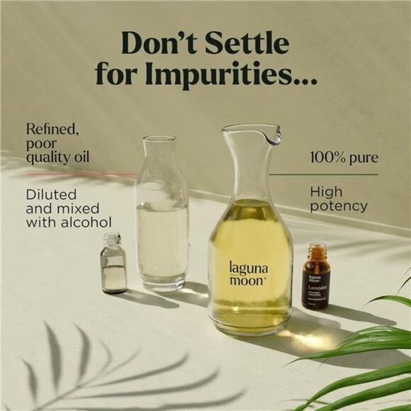 Essential Oils Set - Top 6 Blends for Diffusers, Home Care, Candle Making Scent - Picture 6 of 7